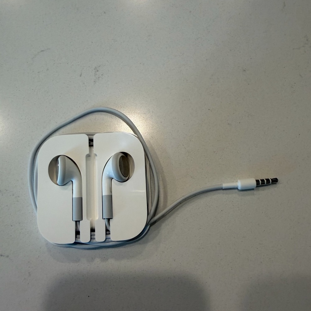 Apple earphones